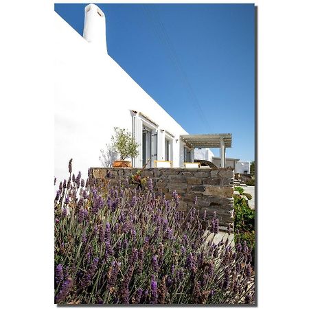 Exochi Traditional Houses Krotiri Rom bilde